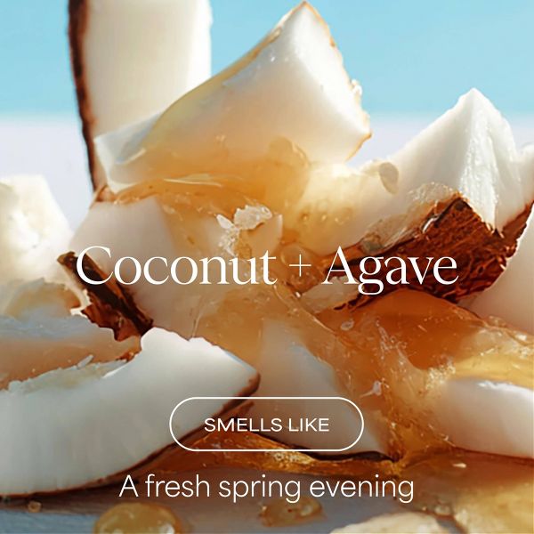 Raw Sugar The Multi Miracle Leave-in Conditioner & Heat Protectant - Coconut + Agave - 6 fl oz