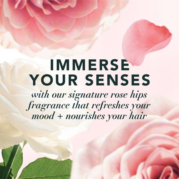 Herbal Essences Rose Fragrance Hair Mist Rose Scent Frizz Control - 3.2 fl oz