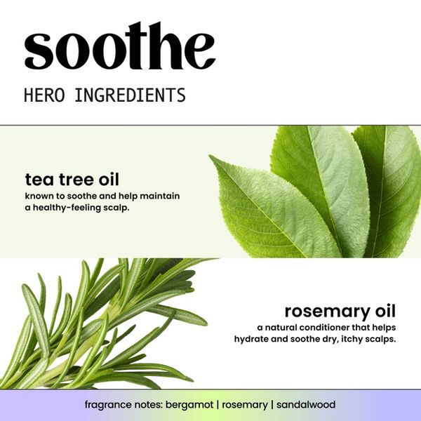 Hask Soothe + Tea Tree Oil Scalp Care Conditioner - 16oz